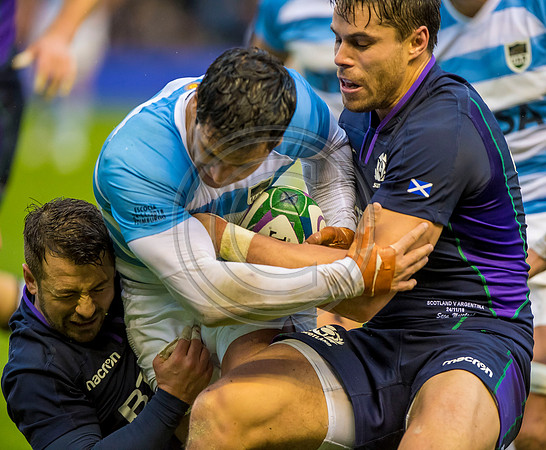 Scotland v Argentina 241118
