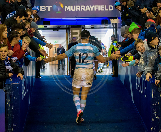 Scotland v Argentina 241118