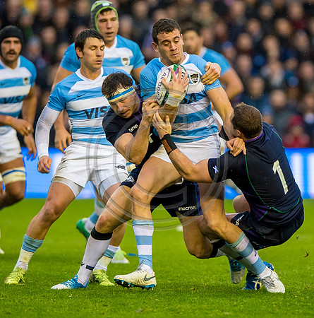 Scotland v Argentina 241118