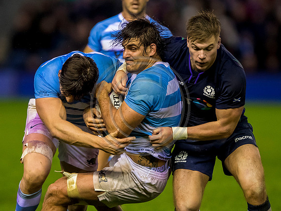 Scotland v Argentina 241118