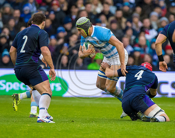 Scotland v Argentina 241118