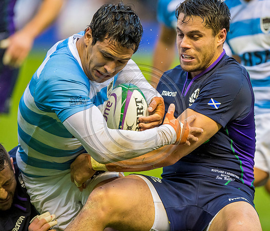 Scotland v Argentina 241118