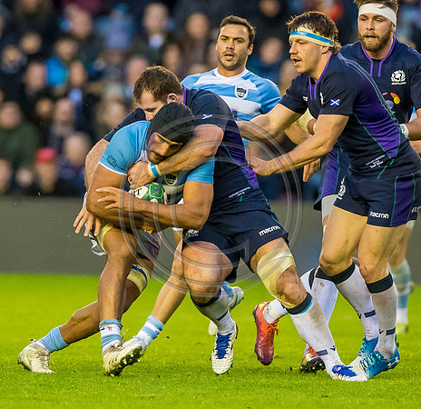 Scotland v Argentina 241118