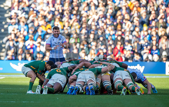 Scotland v South Africa