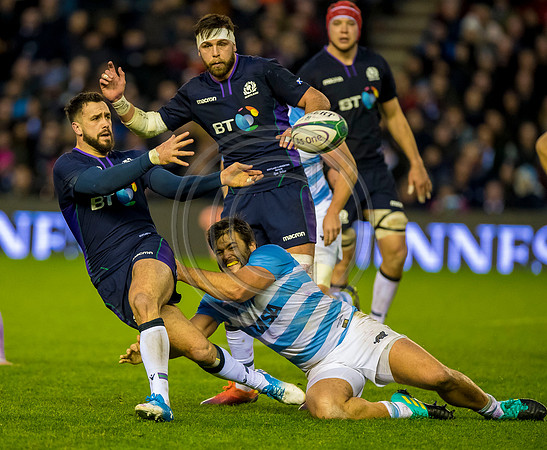 Scotland v Argentina 241118