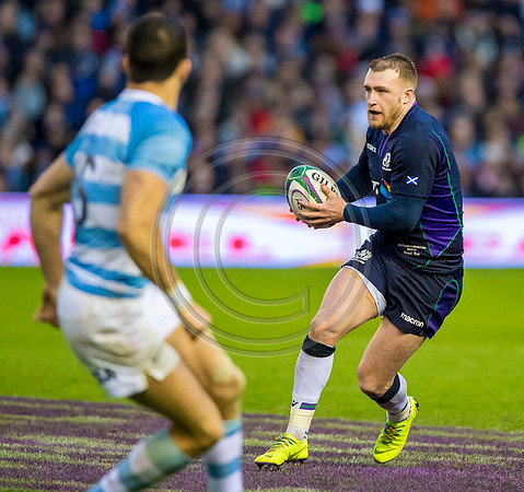 Scotland v Argentina 241118