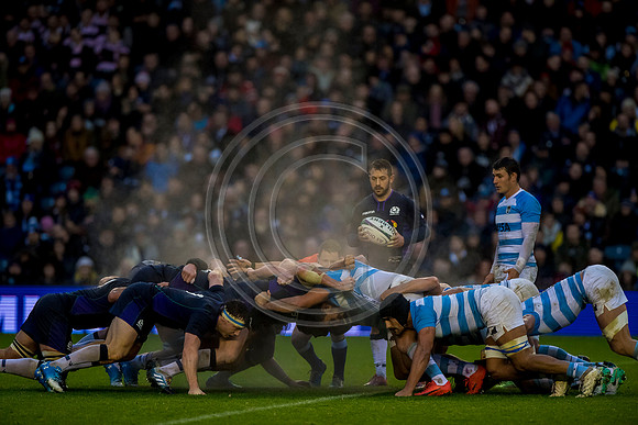 Scotland v Argentina 241118