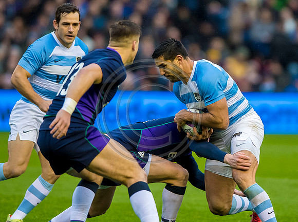 Scotland v Argentina 241118
