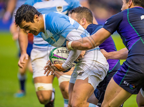 Scotland v Argentina 241118