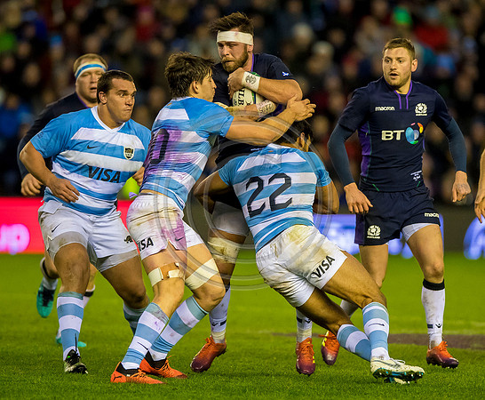 Scotland v Argentina 241118
