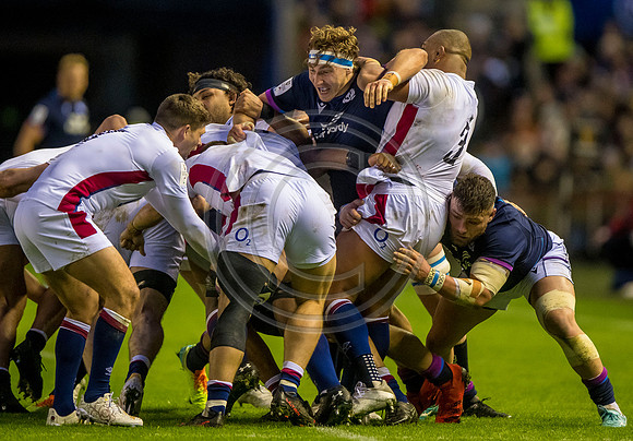 Calcutta Cup Scotland v England