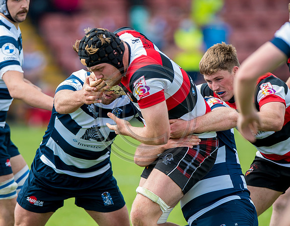 Stirling County v Heriots Rugby