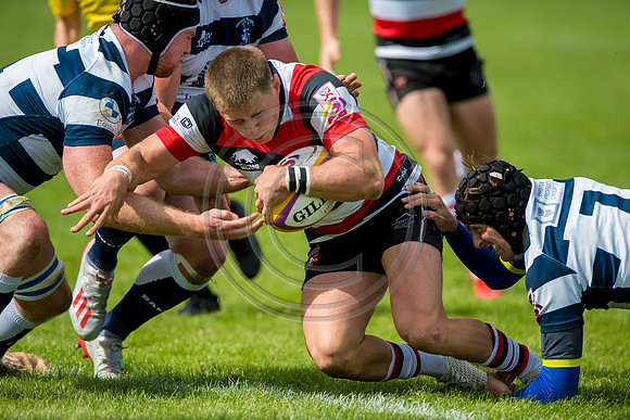 Stirling County v Heriots Rugby