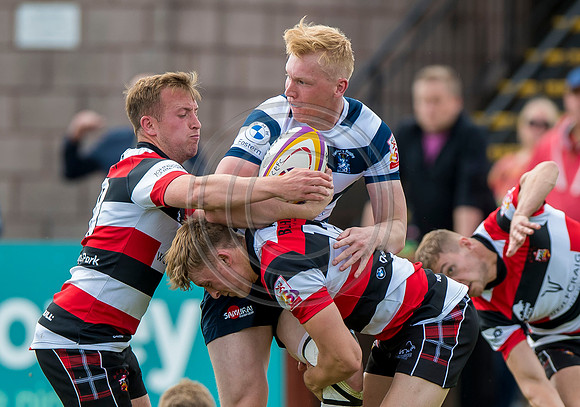 Stirling County v Heriots Rugby