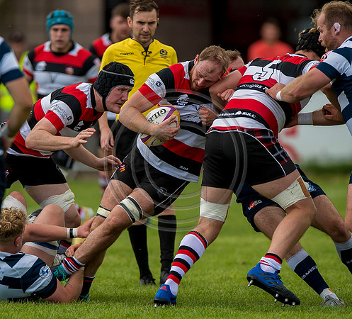 Stirling County v Heriots Rugby