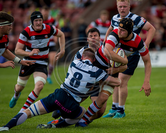 Stirling County v Heriots Rugby