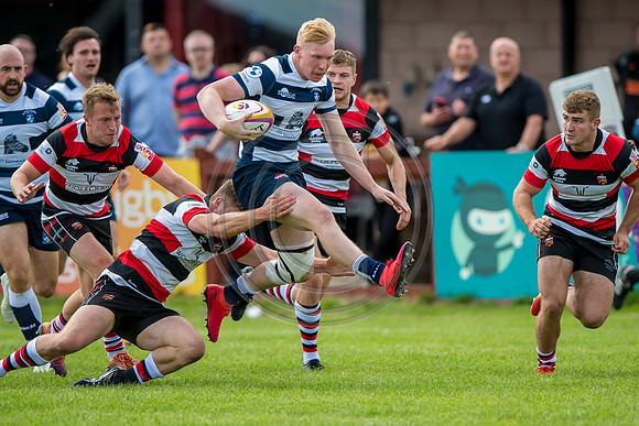Stirling County v Heriots Rugby