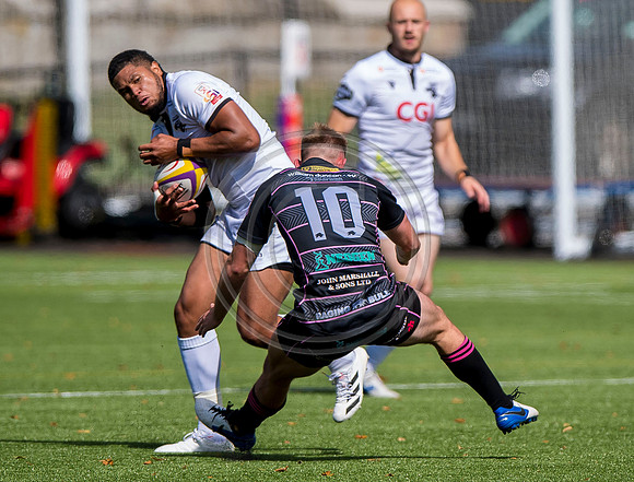 Southern Knights v Ayrshire Bulls