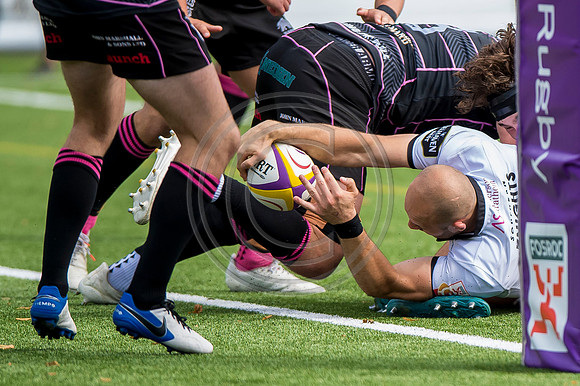 Southern Knights v Ayrshire Bulls