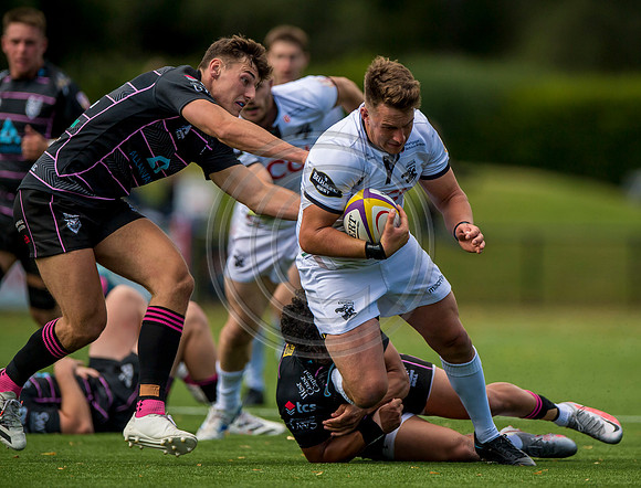 Southern Knights v Ayrshire Bulls