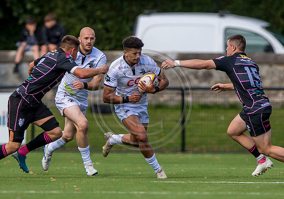 Southern Knights v Ayrshire Bulls
