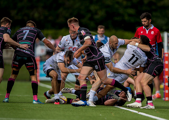 Southern Knights v Ayrshire Bulls
