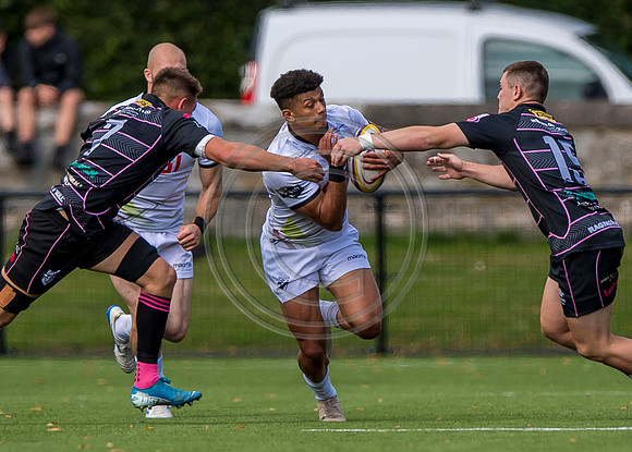 Southern Knights v Ayrshire Bulls