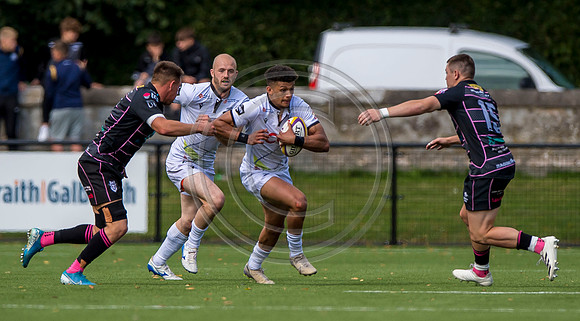 Southern Knights v Ayrshire Bulls