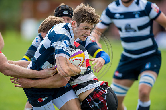 Stirling County v Heriots Rugby