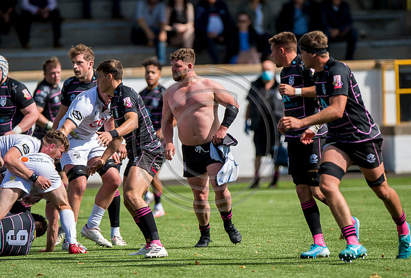 Southern Knights v Ayrshire Bulls