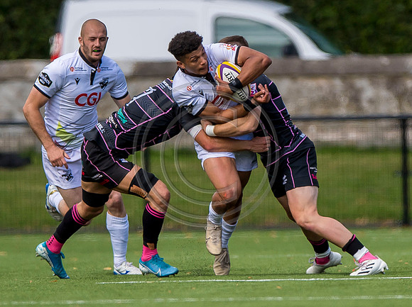 Southern Knights v Ayrshire Bulls
