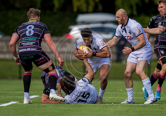Southern Knights v Ayrshire Bulls