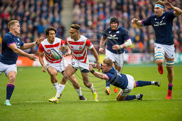 Scotland v Japan