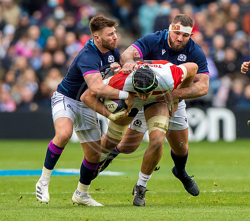 Scotland v Japan