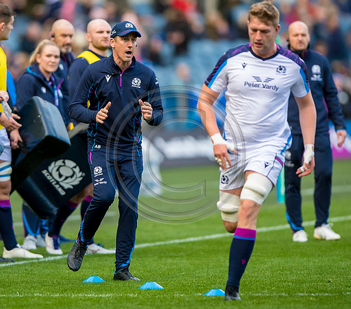 Scotland v Tonga