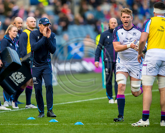Scotland v Tonga