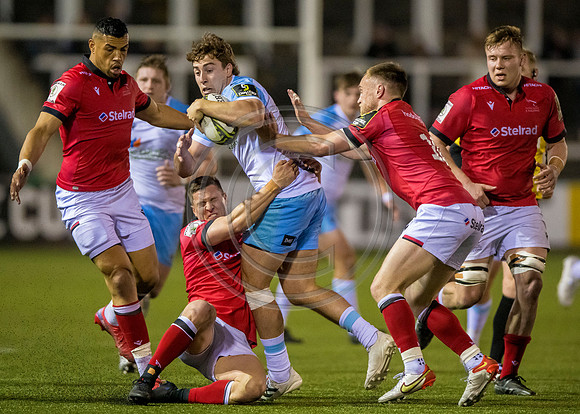 Newcastle Falcons v Glasgow Warriors