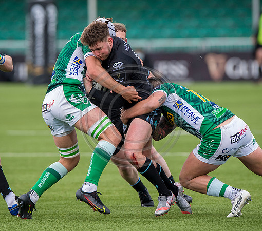 Warriors v Benetton
