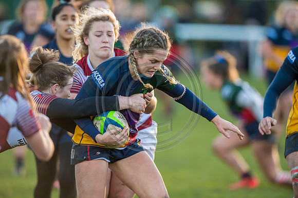 Hillhead Jordanhill Women v Watsonians Women