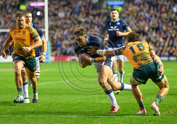 Scotland v Australia