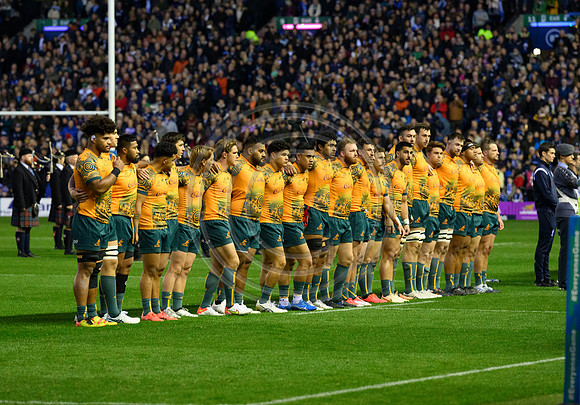 Scotland v Australia