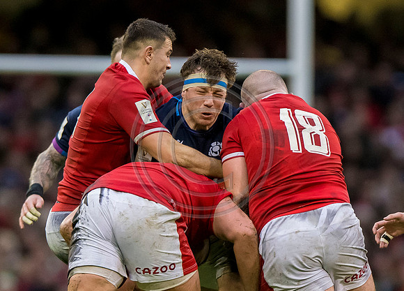 Wales v Scotland