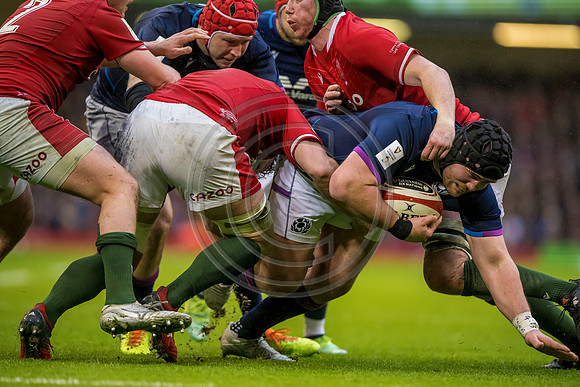 Wales v Scotland