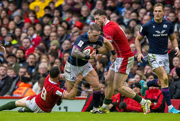 Wales v Scotland