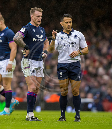 Wales v Scotland