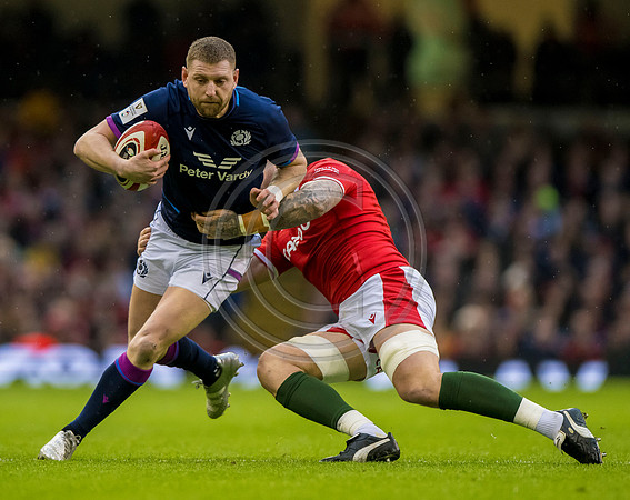 Wales v Scotland