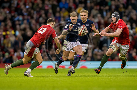 Wales v Scotland