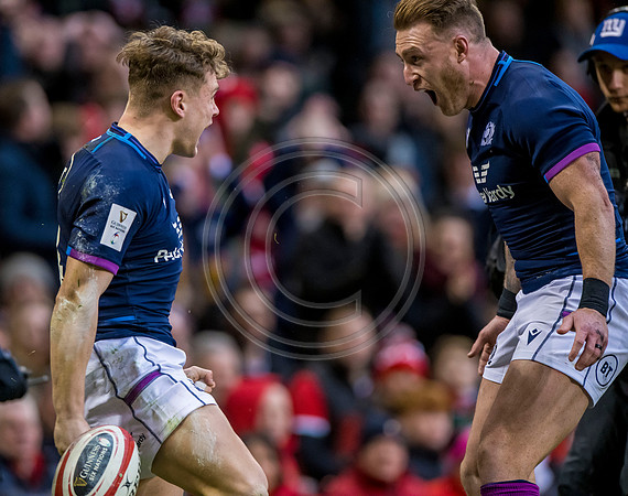 Wales v Scotland