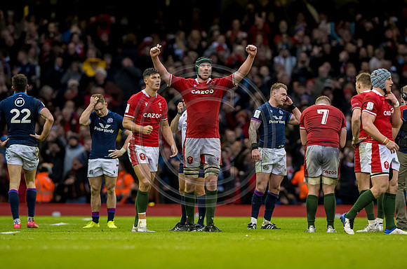Wales v Scotland