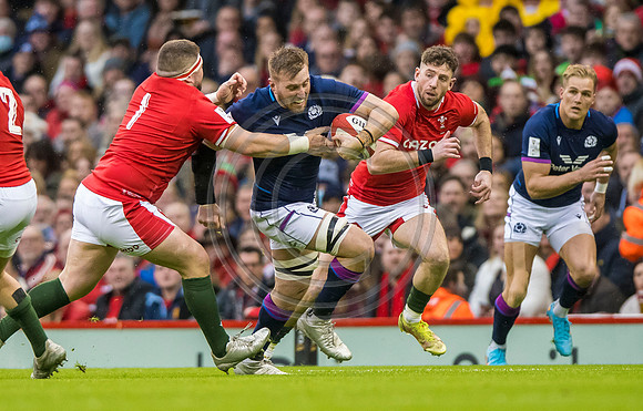 Wales v Scotland